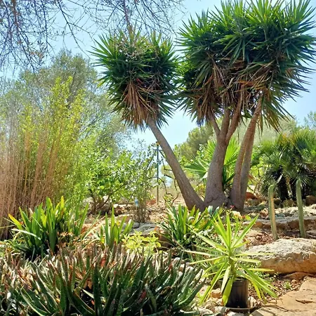El Antojito * Cabanes (Valencia)