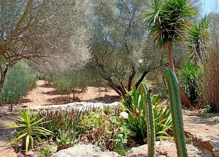 El Antojito Vakantiehuis