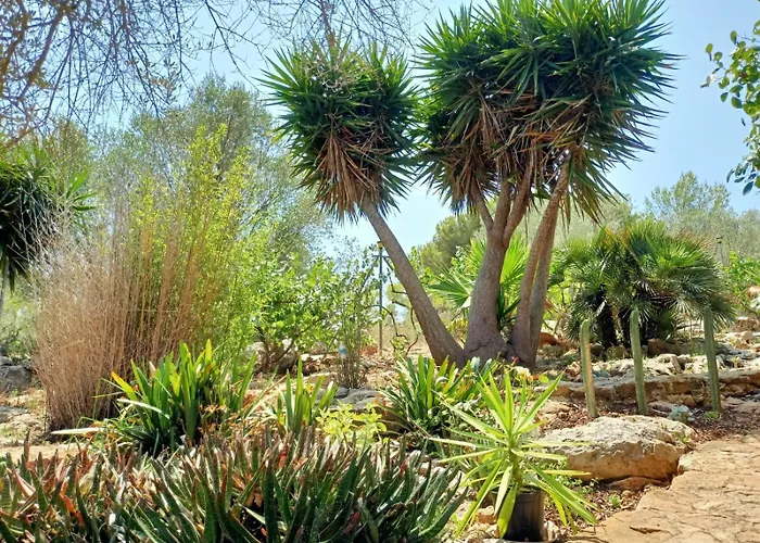 El Antojito * Cabanes (Valencia)