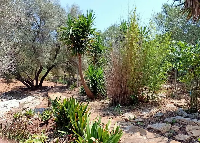 El Antojito Σπίτι διακοπών Cabanes (Valencia)